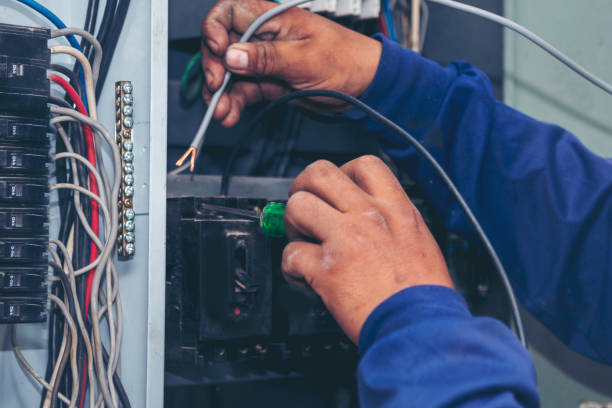 Best Local Electrician Companies  in Elgin, TX