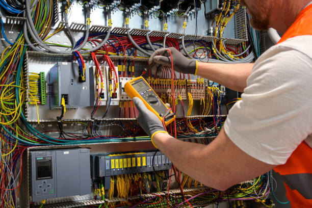Best Electric Panel Repair  in Elgin, TX